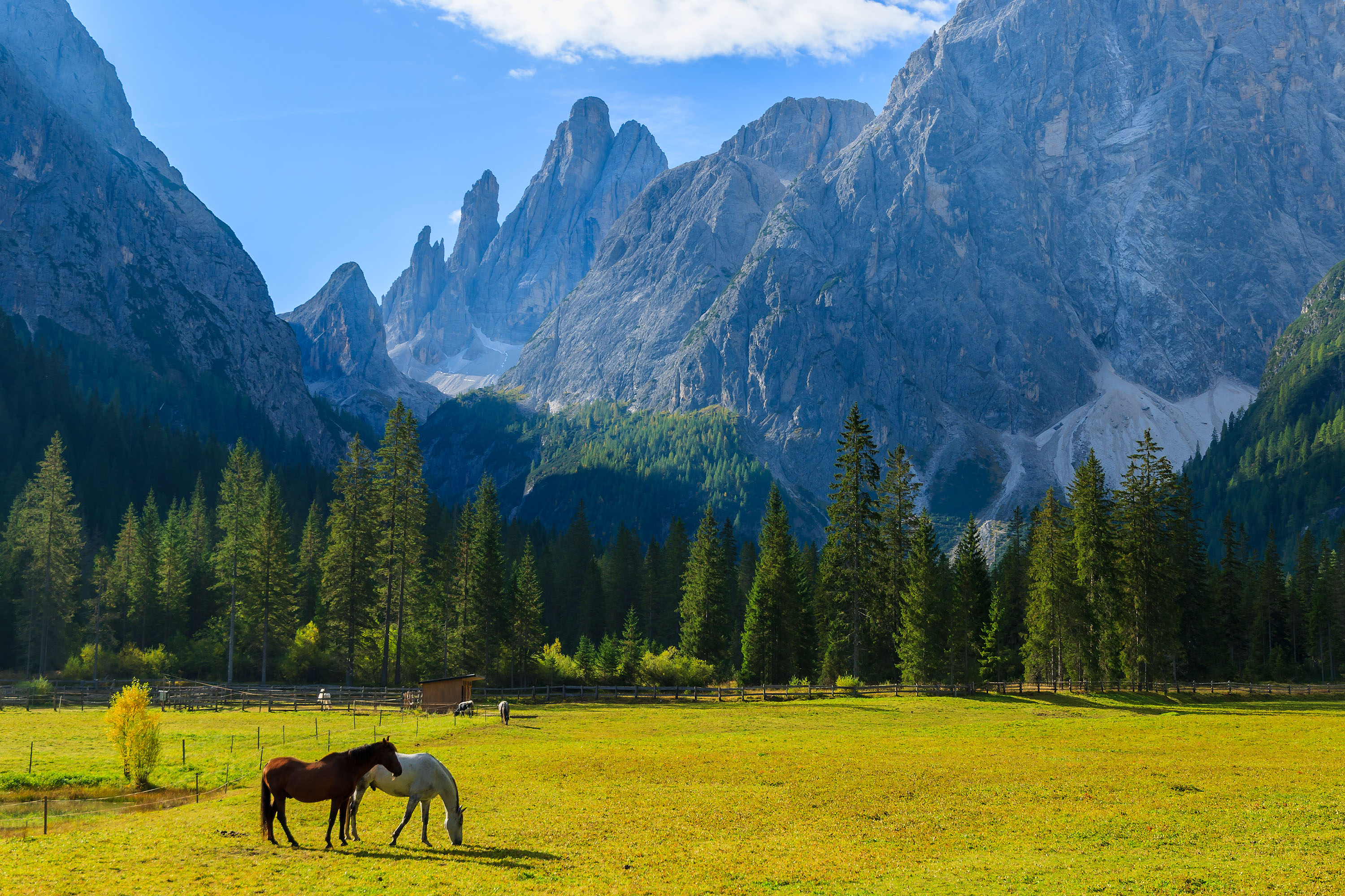 Dolemites | Cortina d'Ampezzo - Ortisei - Alta Badia